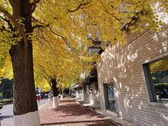 -四川大学(华西校区)