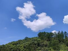 -汕尾风车岛