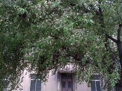 -辽宁大学(崇山校区)