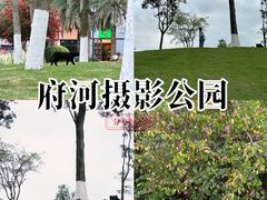 -府河摄影公园
