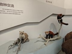 -武汉园博园(武汉自然博物馆)