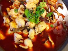 -虎虎龙虾大排档(双井店)