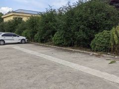 -无忧学车·华茂基地(宝山校区)