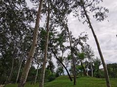 -元大都城垣遗址公园