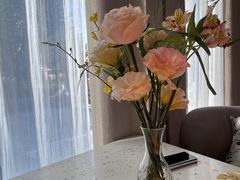 -Tomacado花厨(One ITC店)