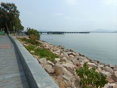 -深圳湾公园(南山区)