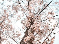 -浙江大学(玉泉校区)