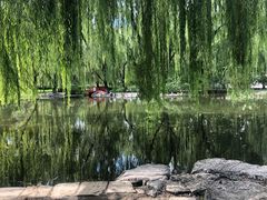 -玲珑塔公园