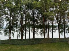 -东湖宾馆-中餐厅
