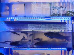 -小桥衢州人家·海鲜烧烤·盱眙龙虾(万达水街店)