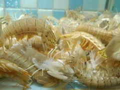 -四海蒸鲜蒸汽海鲜自助(北戴河店)