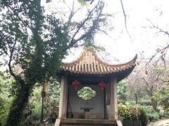-雨花胜境