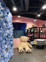 -doladola(徐家汇店)