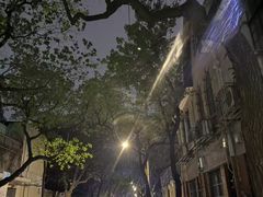 -上海安亭别墅花园酒店