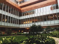 -香港大学