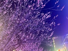 -南渝食府.墨脱石锅松茸鸡