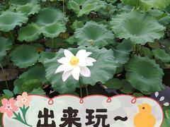 -潘塘公园