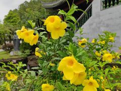 -广州神农草堂中医药博物馆