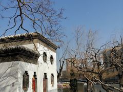 -团结湖公园