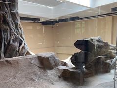 -宁波野生动物园