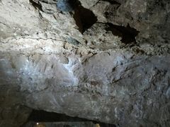 -中国西峡恐龙遗迹园