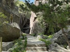 -秦岭终南山世界地质公园翠华山景区
