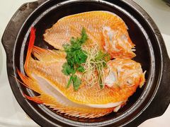 -陶陶居酒家(第十甫路总店)