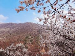 -妙峰山风景名胜区