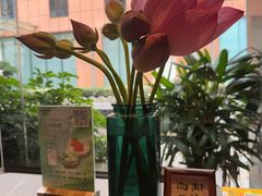 -俏立方·15年新楚菜