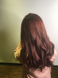 中发-V-STAR威斯达•高级私人定制