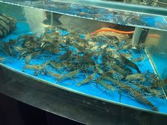 -1718海鲜姿造(苏宁宴请臻选店)