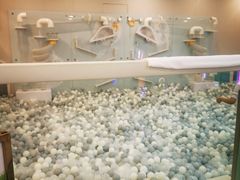 -碧中海汤泉汗蒸酒店