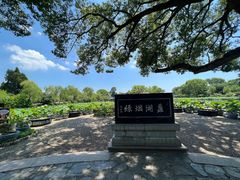 -无锡蠡湖国家湿地公园-蠡园