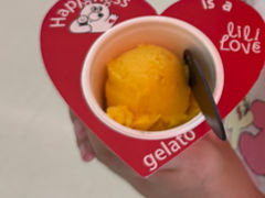 -莉莉熊Lililove Gelato (意大利手工冰淇淋)
