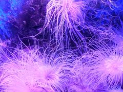 -多彩贵州城极地海洋世界