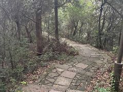 -杭州半山国家森林公园