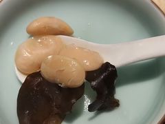 -先机泉水鸡汤(南山老君洞店)