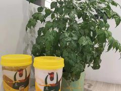-丘大叔柠檬茶(乐峰广场分店)