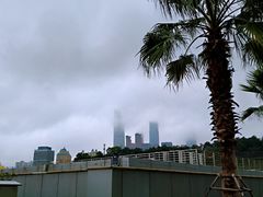 -南宁国际会展中心(会展东博文化旅游区)