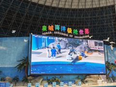 -泉城欧乐堡海洋极地世界