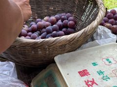 -李民堂户太八号葡萄采摘园