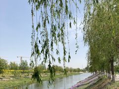 -东坝千亩湖公园