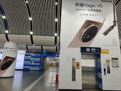 -大望路(地铁站)