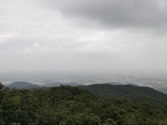 -东莞市大岭山森林公园