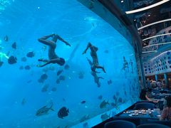 -瑞德姆美人鱼海底演艺主题餐厅(亚龙湾店)