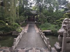 -趵突泉景区
