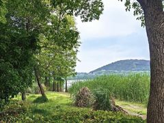 -长广溪湿地公园