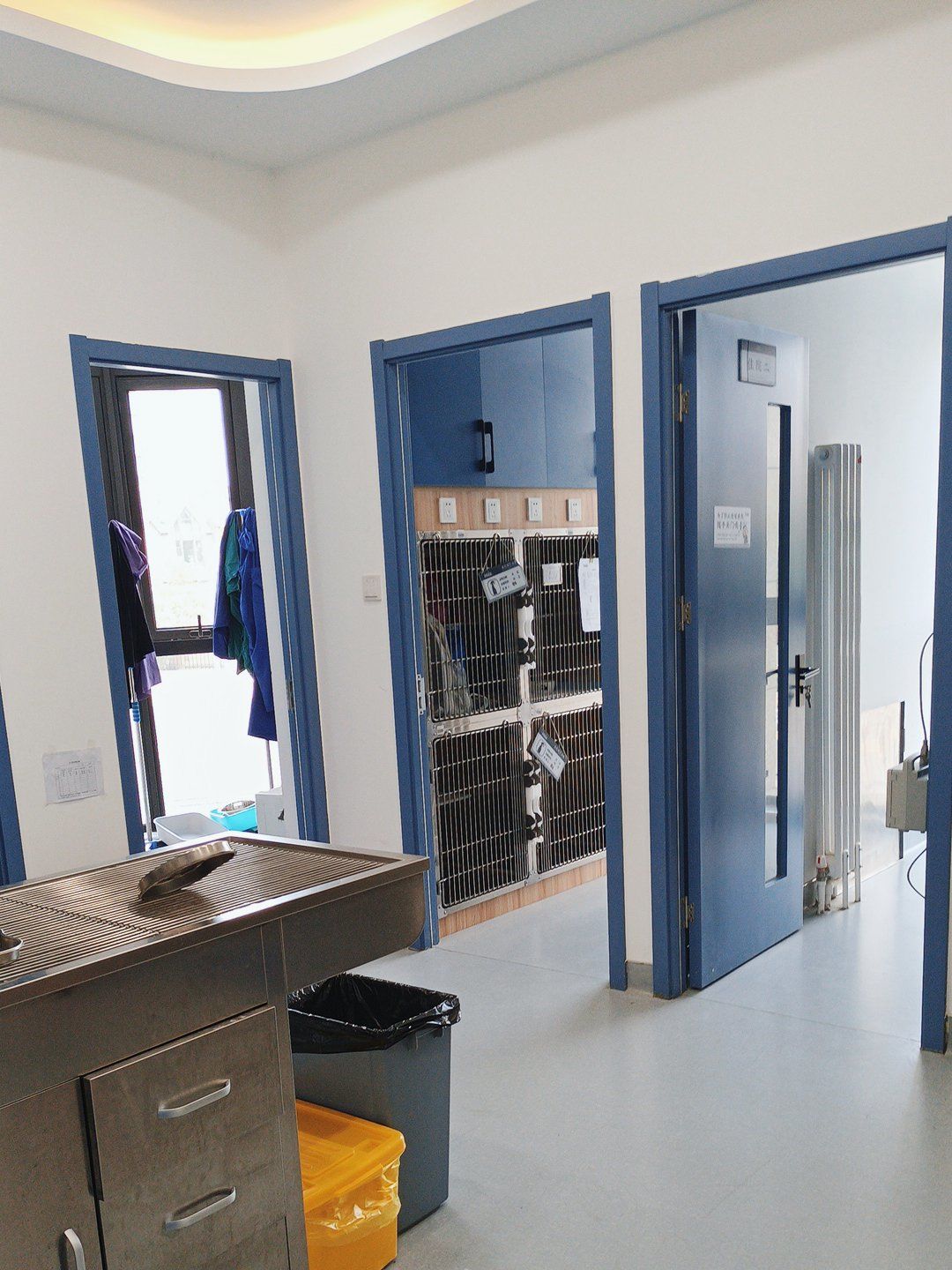 门头沟也有靠谱的宠物医院啦!