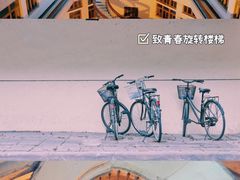 -南京博物院