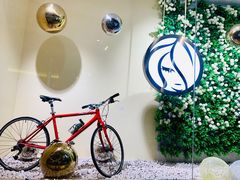 -813芭依珊 BAESAn(汇港购物中心店)